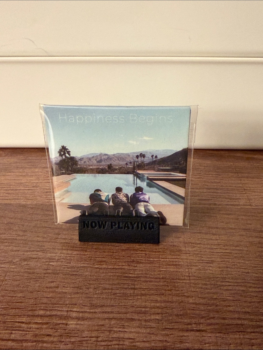 Mini Brand Vinyl: Jonas Brothers